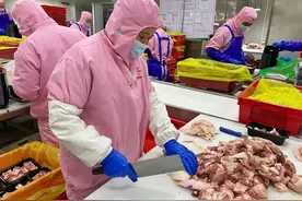 欧洲猪肉被我们制裁后，世界猪肉市场全乱了，巴西也跟着着急图片