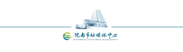 徽县：樱花节会醉游人