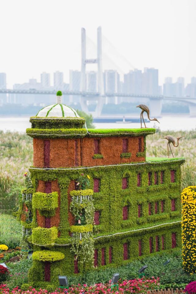 太出片了！这里的枫叶红了，乌桕美了！网友：原来武汉的秋天这么多情！