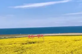 “撞”出来的缘分，丑媳妇心甘情愿为我生了一对漂亮的双胞胎宝宝图片