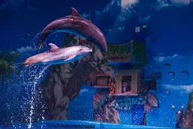 “五一”去哪儿玩？来昆明融创海世界共享欢乐时光～图片