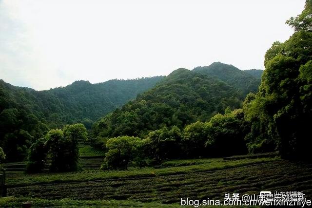 杭州324路公交车沿途风光（皖浙沪旅游122）