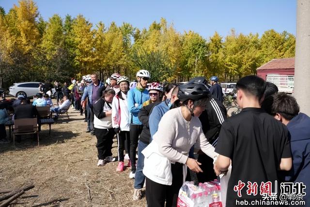 高端媒体看邯郸丨河北曲周举办“骑聚千年凤城 共赏银杏美景”主题骑行活动