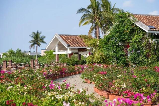 1月10日万宁主场对阵五指山，免费观赛，还有这些游玩宝藏地等你解锁！