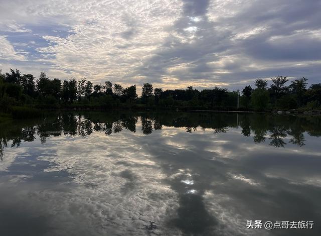 成都最近的原野公园，超级惊艳，一个湖风景就是王者，公交直达！