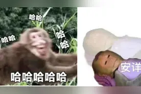 晚报推荐丨评论区刷屏的"子涵"是什么梗；真的有人会被笑死吗？图片