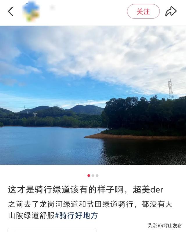 看完你的 看你的,坪山这片格桑花海承包你的秋日治愈感!