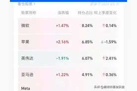 美股“七姐妹”市值、市盈率及内在魅力。图片