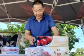 澄城 万斤甜美樱桃盼客商图片