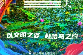【海报｜距离哈尔滨银行2025哈尔滨马拉松开赛还有2天】图片