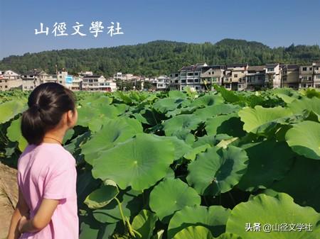 夏行贵州之二： 凡心追净土，酷暑享清游（山径·陈建湘）
