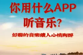 用这个app听音乐，音质不好你骂我图片