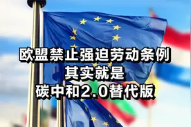 欧盟禁止强迫劳动条例，其实就是碳中和的2.0替代版图片