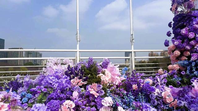 春天的打开方式，从公园徒步、赏花开启