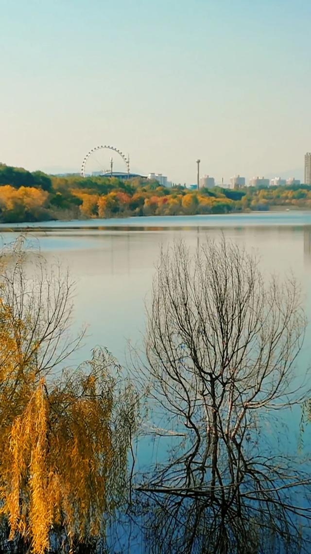 18公里步道免费开放！西五环边的这个公园迎来最佳观赏期——