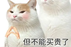 广州以旧换新最新攻略！含家电、手机等图片