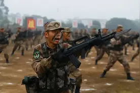 陆军野战部队：师、团、营、连、排、班的人员编制图片