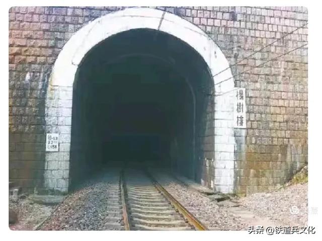 八省一市游，再一次看到父亲曾经参与修建的鹰厦铁路九龙江大桥