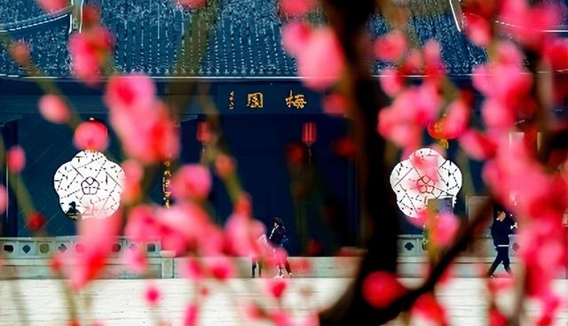 金秋十月，“园”来灌云正好！紫金嘉年华潮玩开幕：伊园邂逅浪漫，潮河湾安享慢生活，梅园品味国风雅韵！