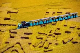 秋游沈阳，不止有“秋晚”打卡地~12条金秋乡村旅游精品线路任您选！图片