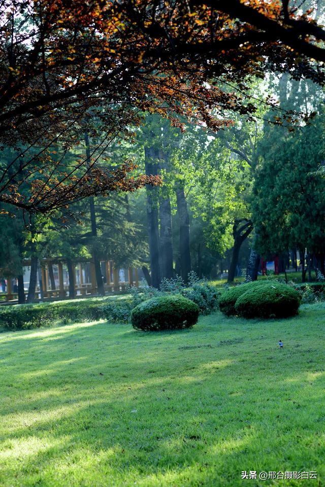 达活泉公园绿草如茵，碧波荡漾（图）