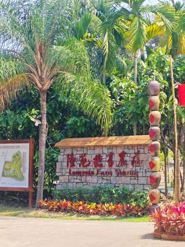 来万宁赴一场25℃的暖阳之约