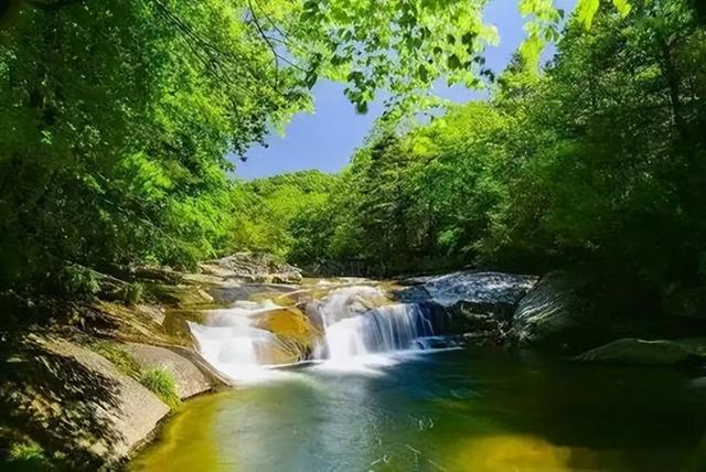 赏花不迷路！2026汉中油菜花海精品观花点服务清单，一键收藏赴春约→