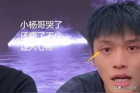 小杨哥一哭扭转局面，辛巴被扒黑料自身难保，疑认怂删文！图片