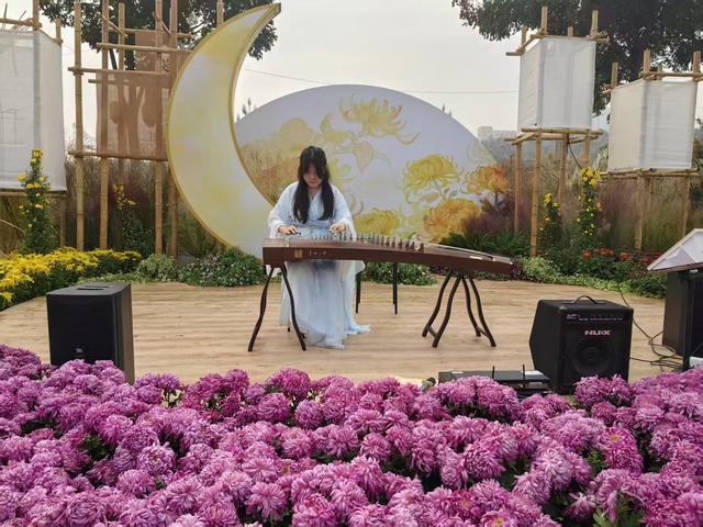 金菊璀璨映光谷，万平花海绘新篇 东湖高新区第42届金秋菊展今日盛大启幕