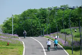 转发收藏！成都市环城生态区绿道骑行管理办法发布图片