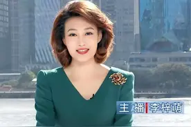 央视李梓萌，口播八分钟零失误，专业能力无可挑剔，为何至今单身图片