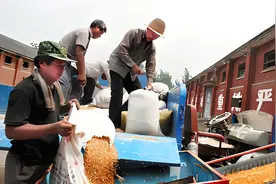 “春锄一寸土，秋打一担粮”，人们常说的一担粮食，究竟多少斤？图片