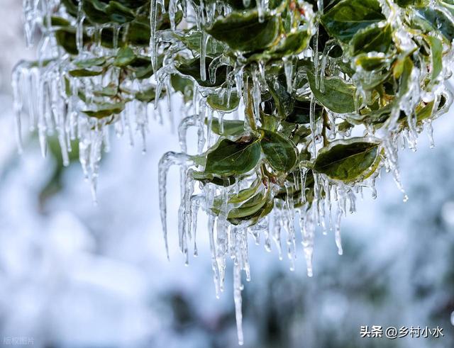 今冬最冷时间表出炉了	，啥时候最冷？2026年春节冷不冷？早了解