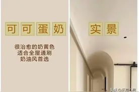 2024年装修乳胶漆热门色号实景对比！图片