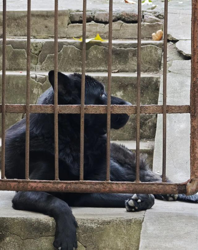 南京南郊山区被时间封印30余年的“矿山小镇”