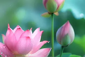 人走后嘴张着预示什么？农村的说法靠谱吗？图片