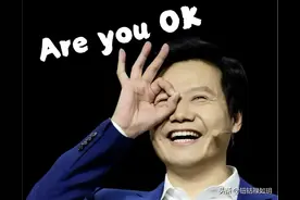 都是千亿总裁 为何只恶搞雷军？ 网友的回复亮了 我也笑死在评论区了图片