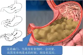 “甘脆肥浓，腐肠之药”，口臭的原因找到了 ！图片