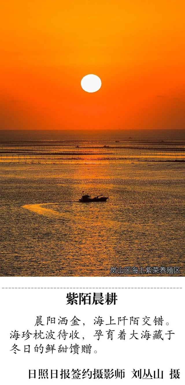 承包美与浪漫！在日照这些地方一键出片！