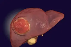 每日认识一味中药——茵陈，是去湿热良药图片