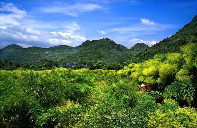 三月三嗨玩全州，“土货圩市”不能错过！球赛、音乐会、美食、土特产攻略在此