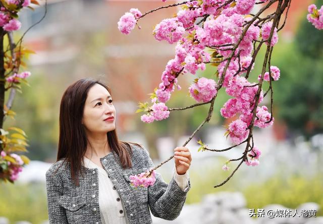 六盘水水城河畔樱花竞放引客浪漫踏春