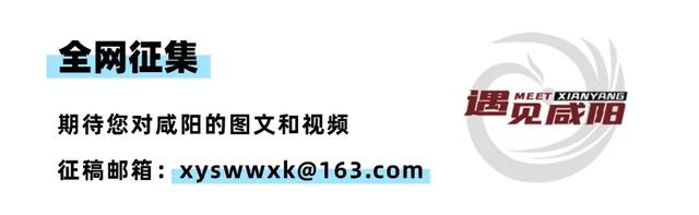 我选择!咸阳这三个公园作为我的“解药”!