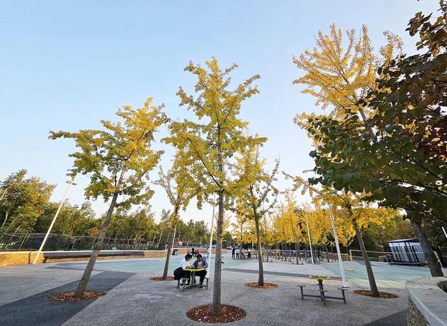 在顺义这些宝藏公园邂逅斑斓秋景——