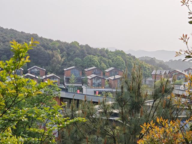 重庆铁山坪森林公园轻徒步路线