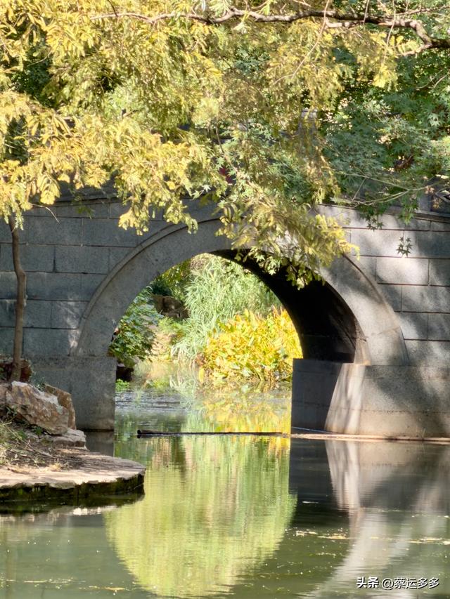 重阳节，上海赏秋之美