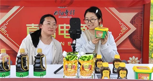 河北成安：“花海经济”焕新活力 激活乡村文旅振兴新动能