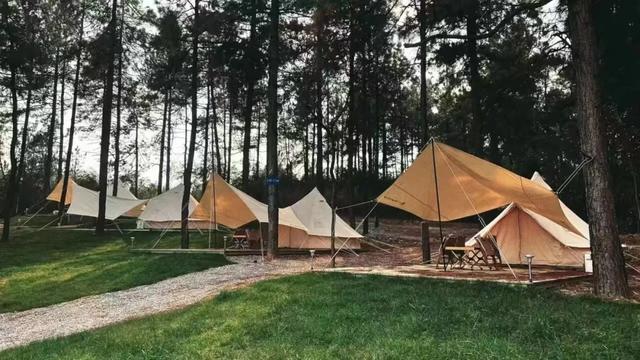 安吉露营经济的“品质革命”