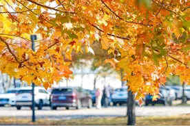 颜值超高！松江这个停车场美成风景图片