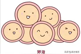 怎样才能知道卵泡好不好？图片